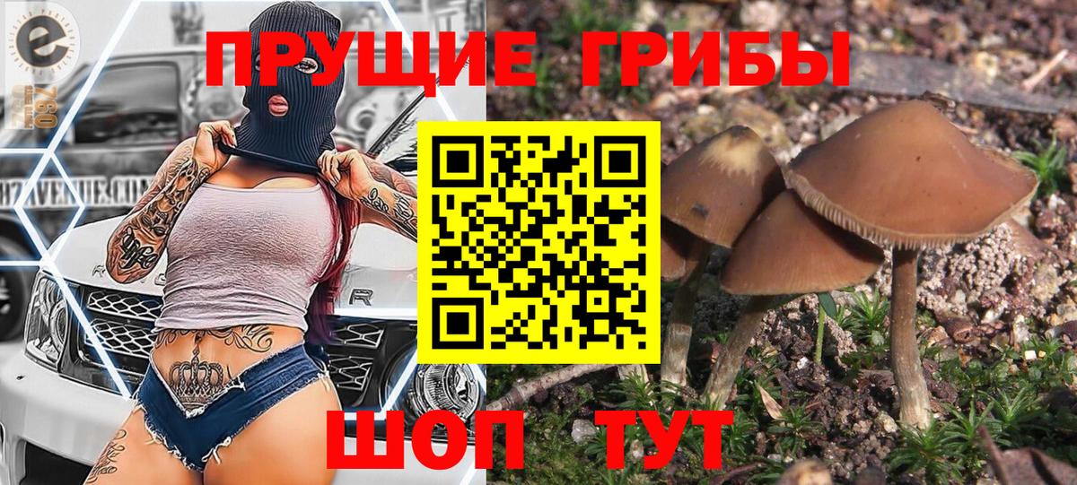 Галлюциногенные грибы GOLDEN TEACHER Волгодонск