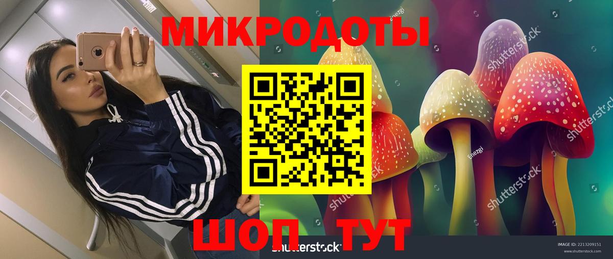 Волгодонск  Псилоцибиновые грибы MAGIC MUSHROOMS  Вход с VPN  Псилоцибиновые грибы Psilocybine cubensis 